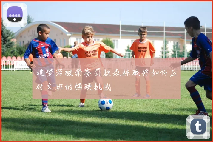追梦若被禁赛罚款森林狼将如何应对文班的强硬挑战