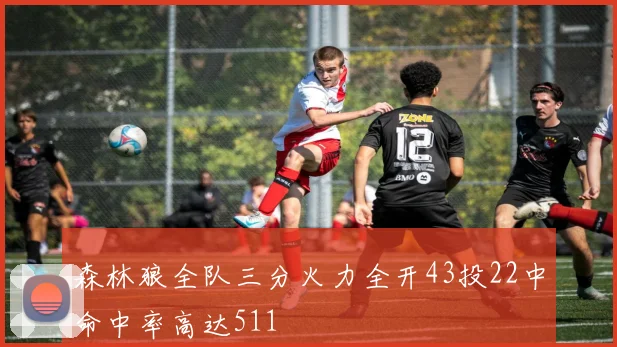 森林狼全队三分火力全开43投22中命中率高达511